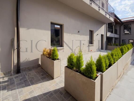 PHOTO-2026-03-23-19-06-04_2.jpg_1