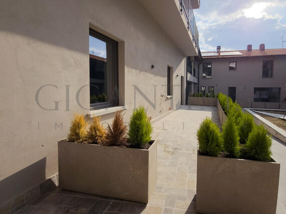 PHOTO-2026-03-23-19-06-05_2.jpg_1